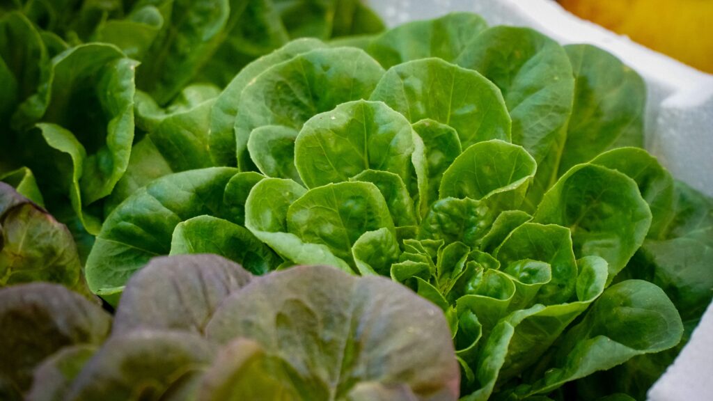 Hello World Featured Image